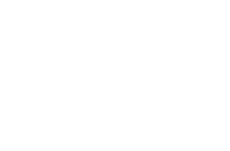 schmetz-neelde-wit