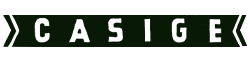 60x250pix-logo-casige-01-museum-global